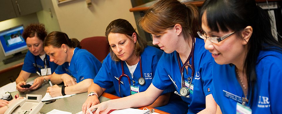 Nursing essay assistance